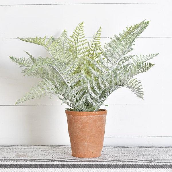 Home Decor - Evergreen Patio