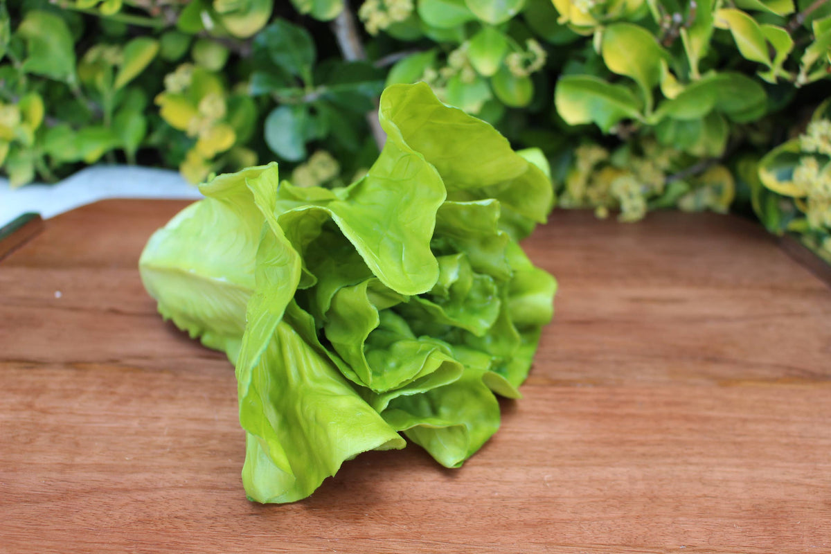 Fake Head of Lettuce