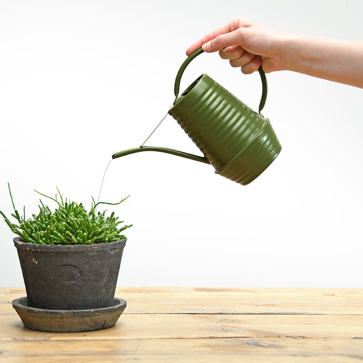 Indoor Watering Can