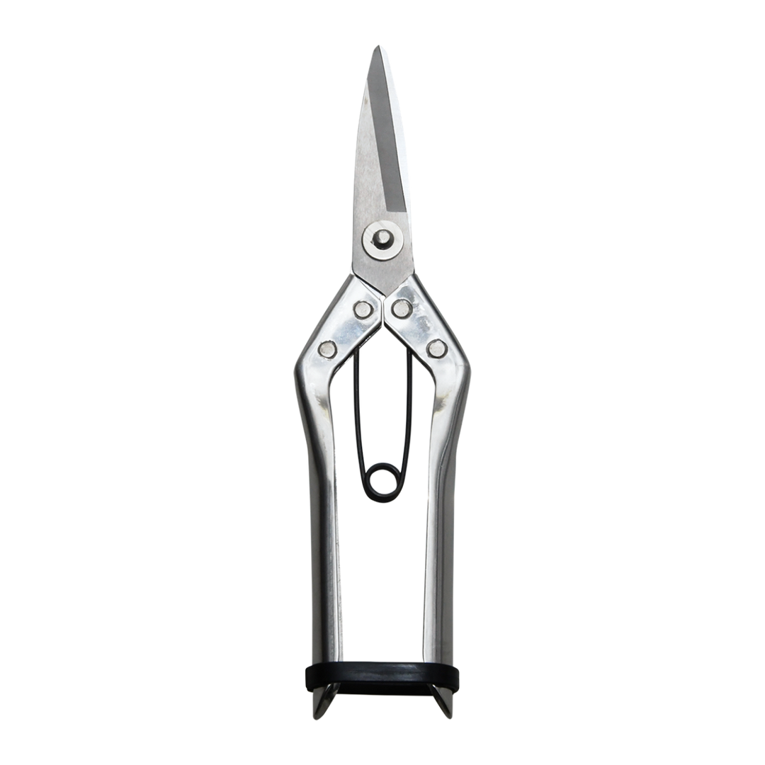 Indoor Pruner
