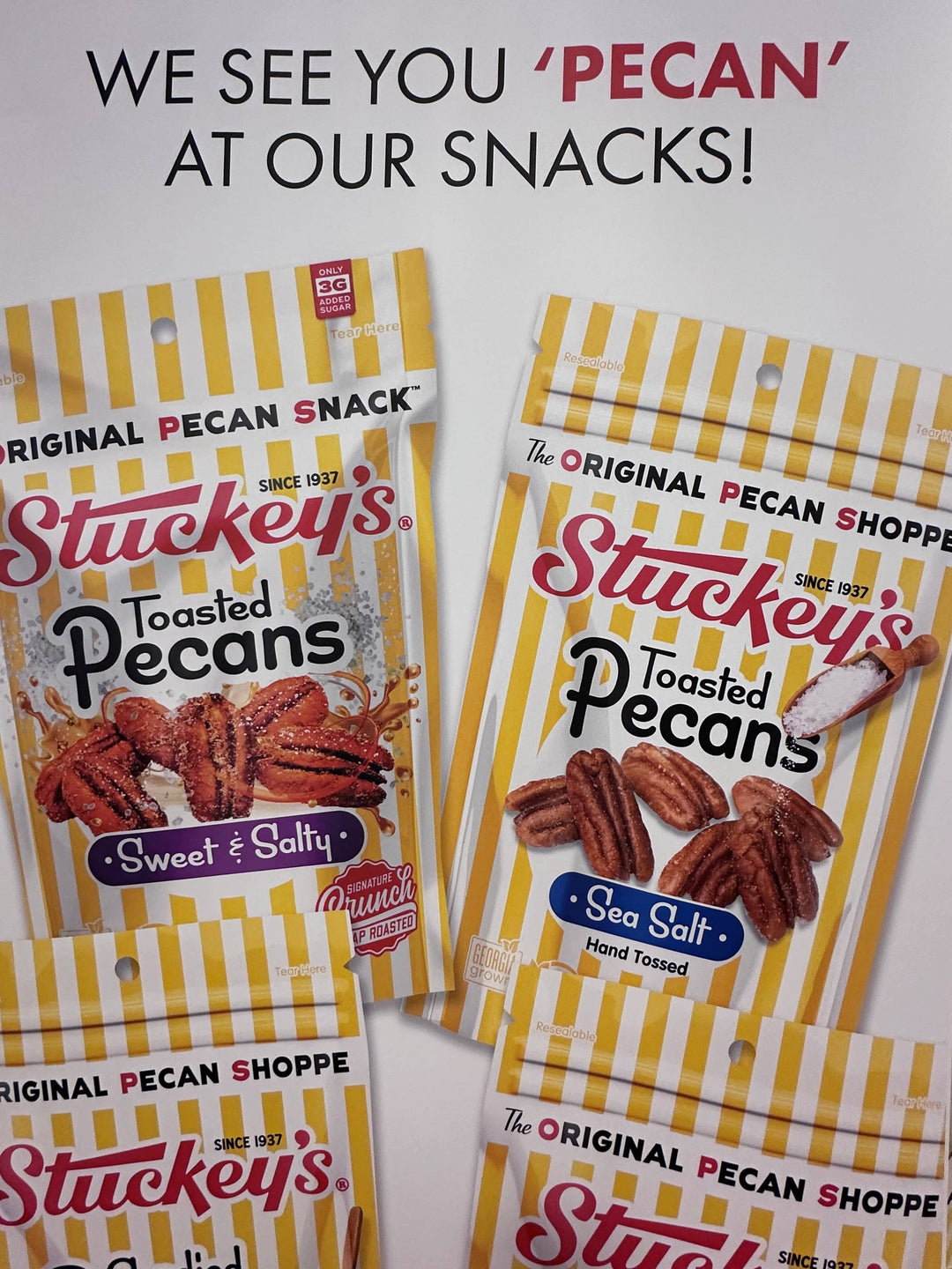 Sea Salt Pecans