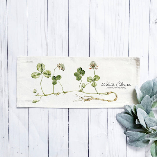 Botanical Panel: Garden Shamrock Spring; WHITE CLOVER