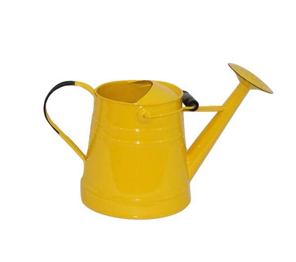 Watering Can with Handle