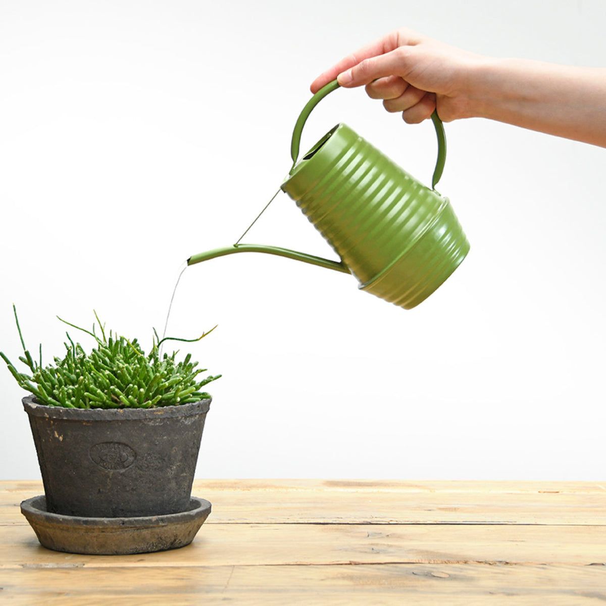 Indoor Watering Can