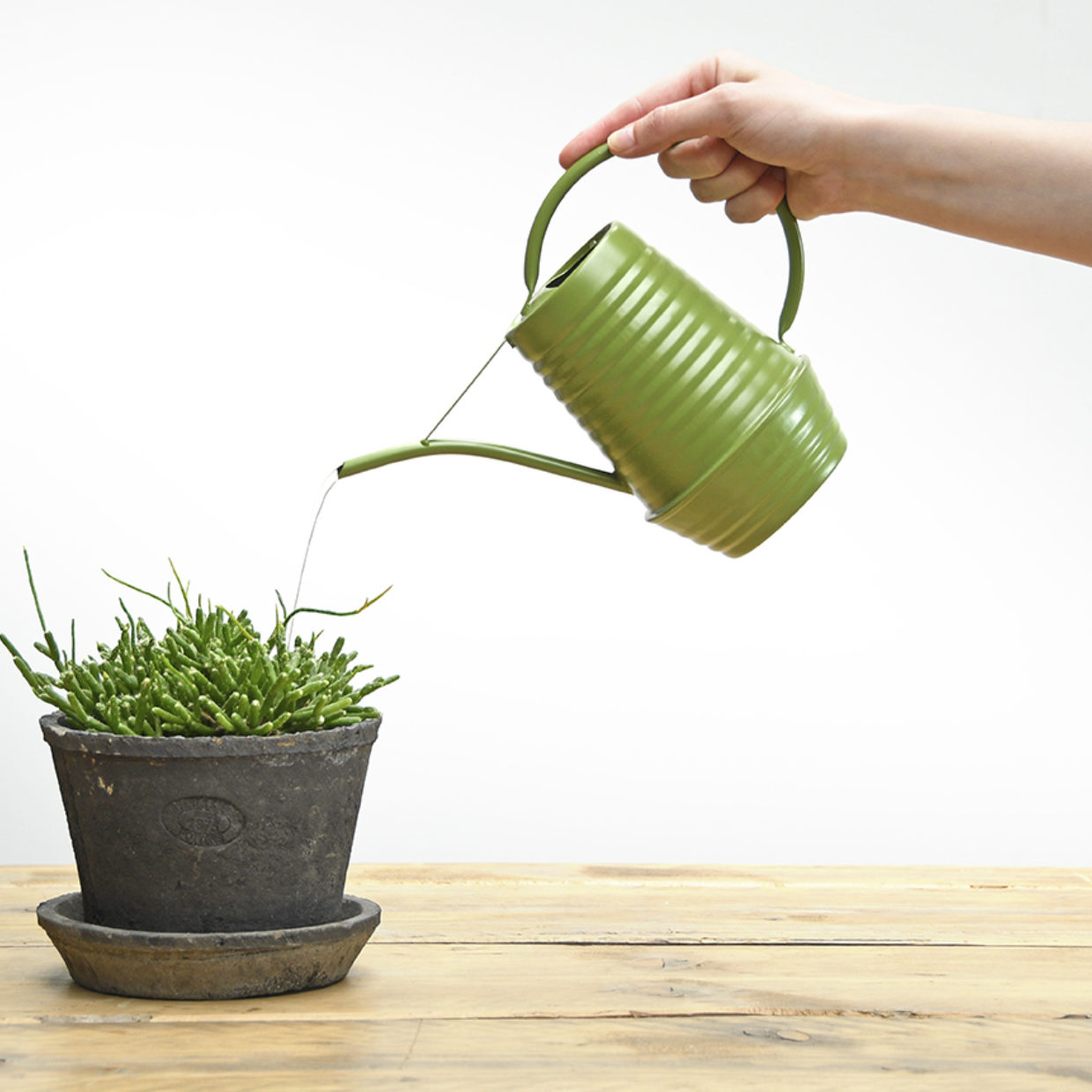 indoor watering can for plants Indoor Watering Can – Evergreen Patio