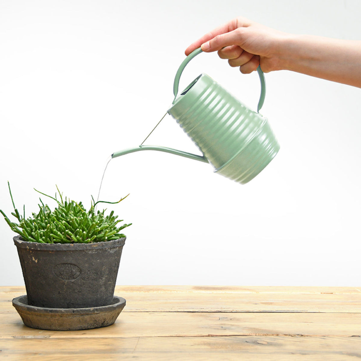 Indoor Watering Can